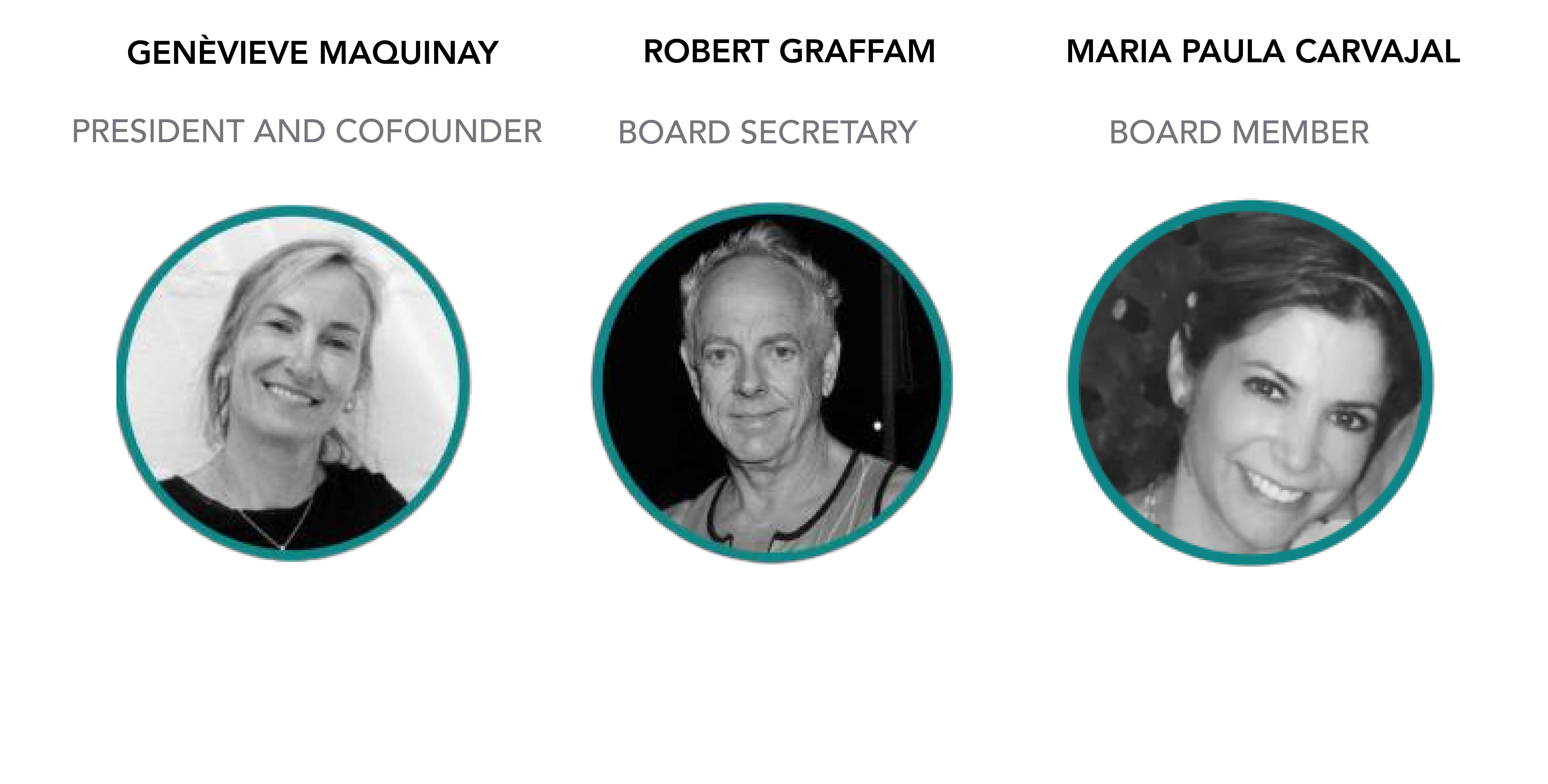 board of directors 